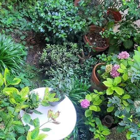 A 20eme Avec Un Petit Jardin Bed & Breakfast